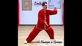 Chan Si Jin Lezione gratis - Giuseppe Paterniti - Tai Chi Online .it