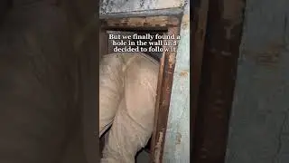 We made a shocking discovery inside this abandoned church 😳