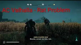 AC Valhalla - Rats be gone mission 