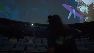 360 Dome Theatre experience