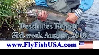Deschutes Report 3rd Week August 2018