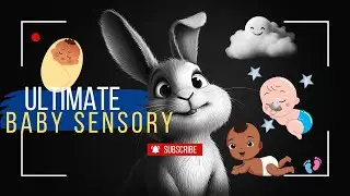 Black and White Baby Sensory Stimulation Video: Farm Animal Theme - Great Quality Visual and Music