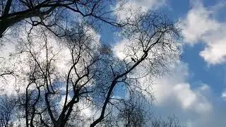 Последние осенние деньки  The last autumn days