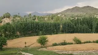 The beauty of my village/greenery/mountain❤️🌿☘️