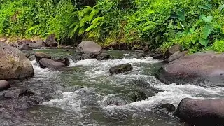 Raw Roar of Powerful Water for Deep Grounding and Emotional Strength through Pure Nature