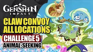 Claw Convoy Event Guide Day 5 | All Animal Locations From Inscribed Mirror | Genshin Impact 5.2