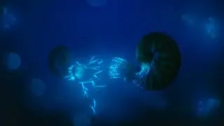 Prehistoric Planet [2022] - Scaphitid Ammonites (Hoploscaphites) Screen Time