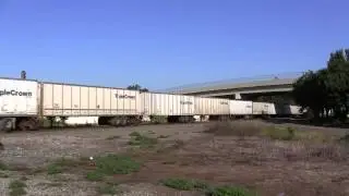 Norfolk Southern 251: The Triple Crown Roadrailer with NS C44-9W 9311 leading
