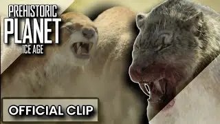 HOMOTHERIUM LOSES AGAINST GIANT OTTERS! |PREHISTORIC PLANET ICE AGE | CLIP