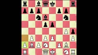 Creative chess game 13
