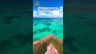 Dry Tortugas National Park: The Remote Island Park Most People Never See