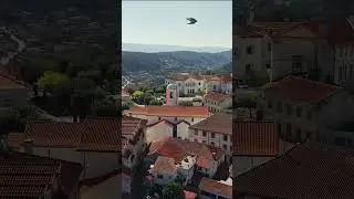 Penacova Portugal #penacova #drones #nature #europetravel