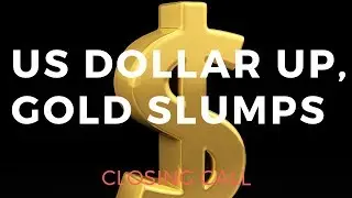 Dollar runs, Gold slumps in sea of confusion