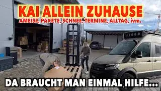 #1349 KLARSTELLUNG! SO NICHT! Muss was zu sagen!  ALLEIN BEIM BUB | Kampf mit Paket | Sensor Defekt?