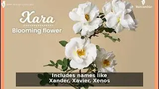 87 Unique Surnames Starting With X (Last Names)