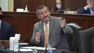 Ted Cruz Unleashed: Election 