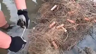 Project Driftnet: Measuring net mesh size