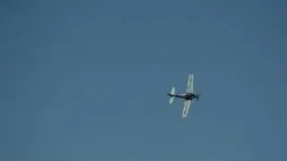 A1  Skyraider  (AD-4N) ( Acrobatics )  La Fert&eacute;-Alais  2009  HD  (LFTA)
