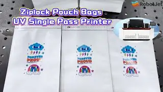 Ziplock Pouch bags UV Single Pass Printer