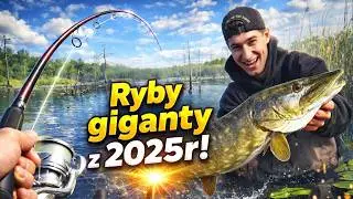 TOP 5 WIELKICH RYB w 2025