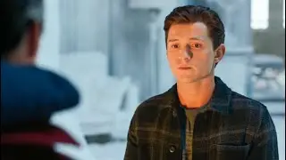 Peter chiede aiuto a Doctor Strange | Spider-Man: No Way Home (2021)