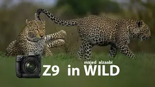 Nikon Z9 in wildlife - Kenya