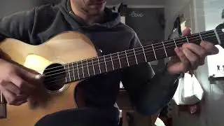 Willie Nelson - Whiskey River Solo