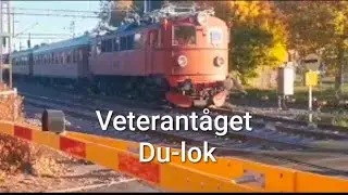 Veterantåget Du-lok passerar plankorsning nära Västerås (2025)