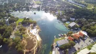 Drone Footage of Crystal River Fl, Kings Bay.