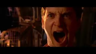 Tobey Maguire's Spider-Man screaming