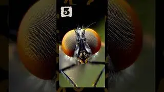 Real Macro or AI?