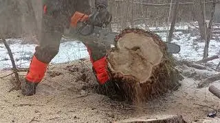 G444 Holzfforma 5,5KM, 1350,-2lata gwarancji! serwis, selekcja techniczna, bez prowadnicy i łańcucha