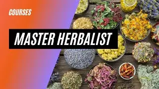 Master Herbalist Online Course | Herbal Medicine #herbs #herbalist #herbalmedicine