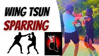 #wingtsun FIGHT! Sparring with #wingchun im HongKong Lat Sao, #詠春 #wingtsunkungfu #詠春拳 #vingtsun