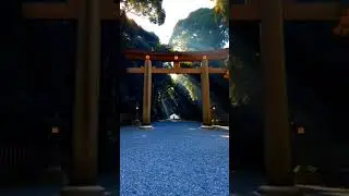 Inside Japan&rsquo;s Ancient Temples | Secrets Revealed