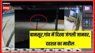 बानसूर(राजस्थान):गांव में दिखा जंगली जानवर, दहशत का माहौल।