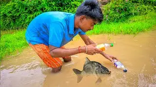 Best amazing plastic bottle fish trap 🐟  | plastic bottle fish trap with hook 🐬 |
