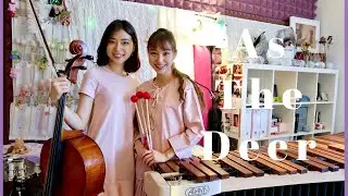✝ As The Deer Marimba + Cello Cover | Therese Ng & Sophia Ng