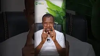 Как уйти на пенсию, но никогда не лишиться дохода от агронедвижимости