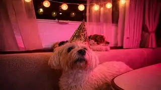 Mit dem Wohnmobil und Hund über Silvester nach Sankt Peter Ording