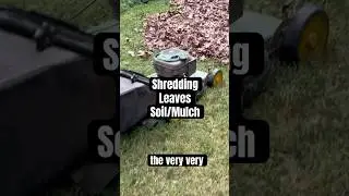 Shredding leaves as input for soil/mulch mix. Last of the leaf stash.