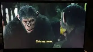 Dawn of the Planet of the Apes (2014) Clip Malcolm Apologizes to Caesar/Help Cornelia
