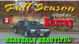 Fall Season makes Surrey incredibly Beautiful