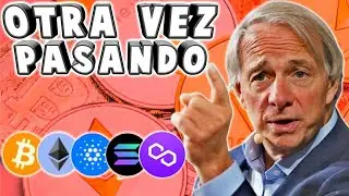💹 NUEVO INVIERNO? 🎯⚡️ Criptomonedas Noticias HOY | Bitcoin | Ethereum | Cardano | Matic Solana news