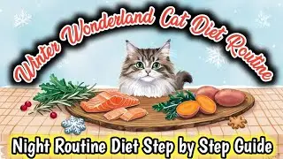 Casper Mano Night Diet Routine in Winter Season 🐈Persian Cat & Kitten Winter Diet Routine🥘Cat Food