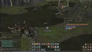 Lv 47 Spellhowler Soloing (No buffers! No down time!) Lineage 2 Classic EU