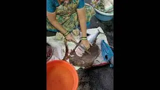 Karanja Jetty Fish Market #fishmarket #karanjetty #uran