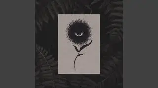 Entropy