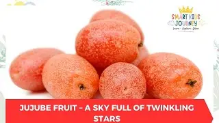 Jujube Fruit &ndash; A Sky Full of Twinkling Stars | Smart Kids Journey