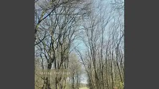 Spring Feelings